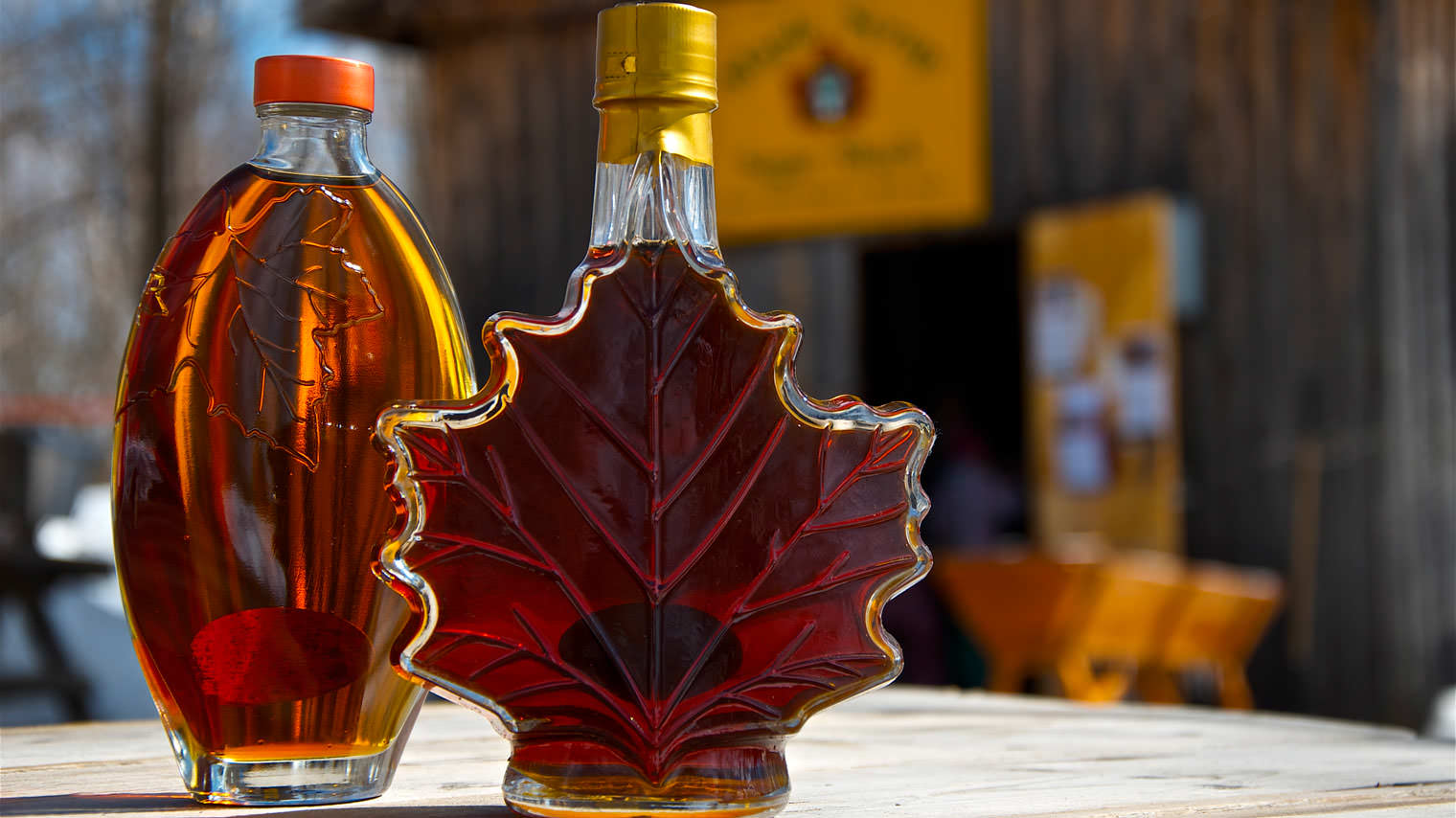 4 Ontario Family Maple Syrup Experiences