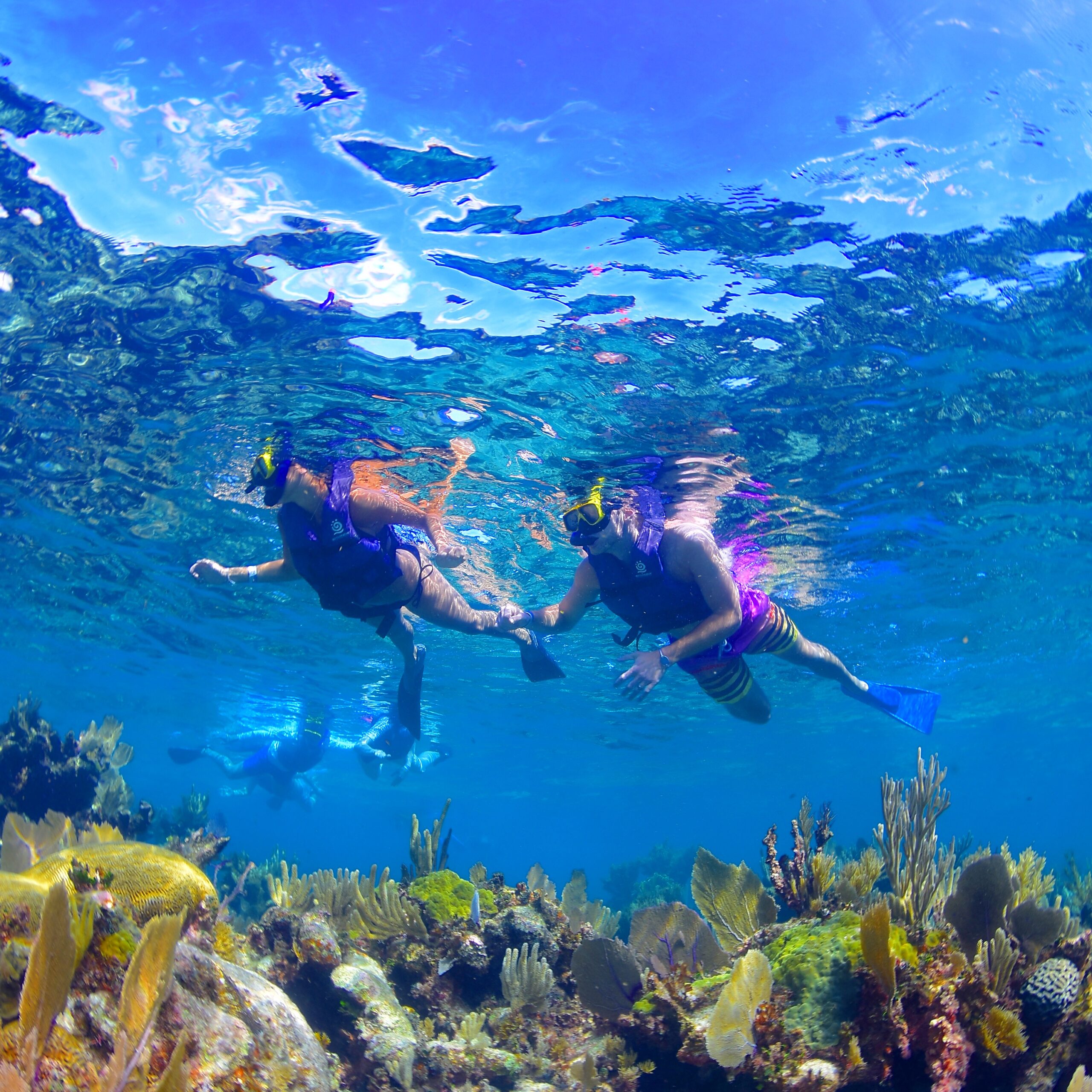 Dive Into Paradise: The Ultimate Caribbean Snorkeling Adventure